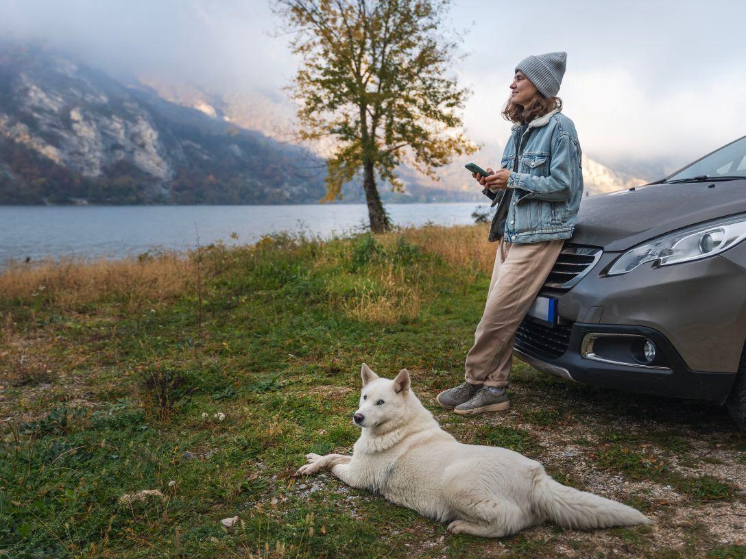 The Incredible Journey: Exclusive Animal-Friendly Road Trips Are Here
